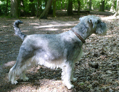 Iska-Voilà Het Hoog Oord