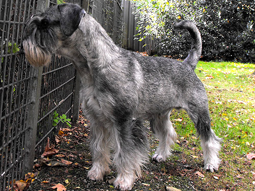 Justin Het Hoog Oord