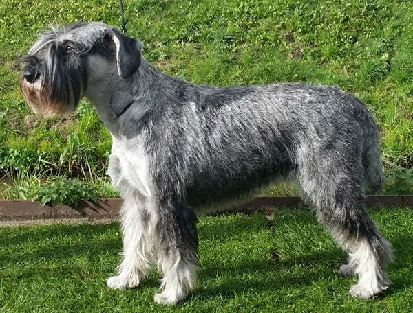 Marit-Meral Het Hoog Oord