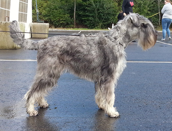 Oana-Ocie Het Hoog Oord